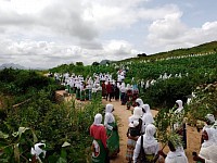 Women during Fantah tree planting session