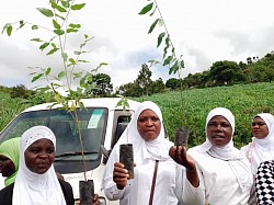 FANTAH UNDER “ENHANCING URBAN ENVIRONMENTAL SUSTAINABILITY THROUGH FIGHTING CLIMATE CHANGE IMPACTS WITH COMMUNITIES FULLY ENGAGED”