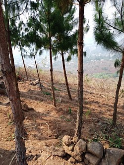 Bangwe Mountain-FANTAH UNDER “ENHANCING URBAN ENVIRONMENTAL SUSTAINABILITY THROUGH FIGHTING CLIMATE CHANGE IMPACTS WITH COMMUNITIES FULLY ENGAGED”