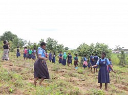 Pupils taking part in tree planting exercise in Bangwe Mountain-FANTAH UNDER “ENHANCING URBAN ENVIRONMENTAL SUSTAINABILITY THROUGH FIGHTING CLIMATE CHANGE IMPACTS WITH COMMUNITIES FULLY ENGAGED”